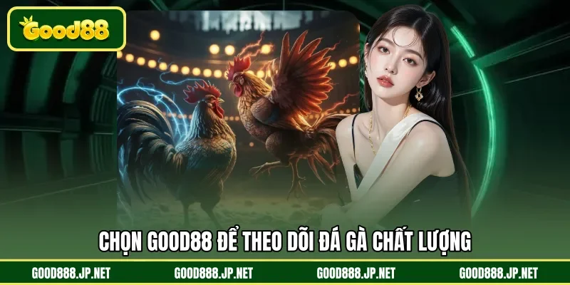 Chọn GOOD88 để theo dõi đá gà chất lượng