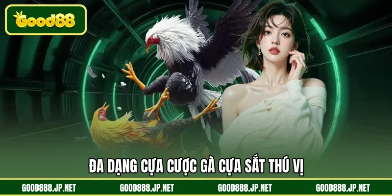 Đa dạng cựa cược gà cựa sắt thú vị