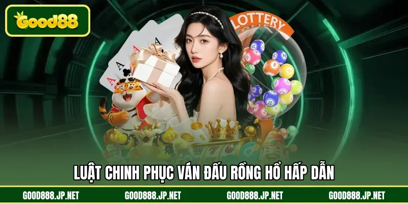 Luật chinh phục ván đấu Rồng Hổ hấp dẫn