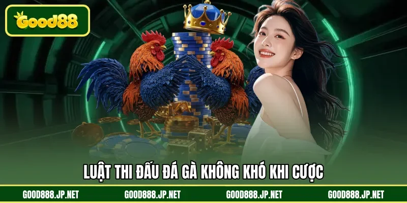 Luật thi đấu đá gà không khó khi cược