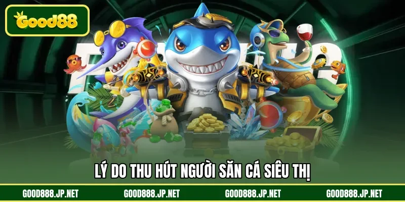 Lý do thu hút người săn cá siêu thị