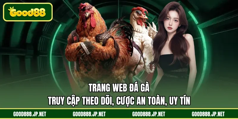 Trang web đá gà